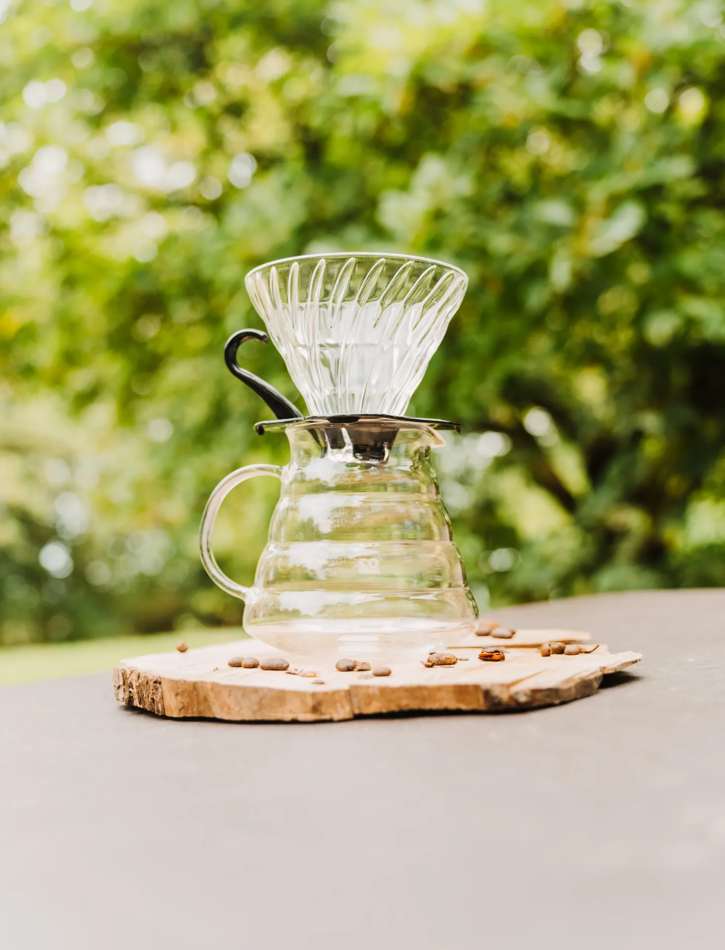 Pack Hario V60 4 tasses